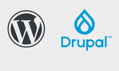 WordPress & Drupal Quick Fix Repairs